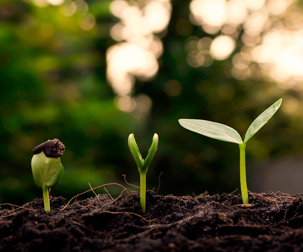 Sustentabilidade em Embalagens Flexíveis Como Contribuímos para um